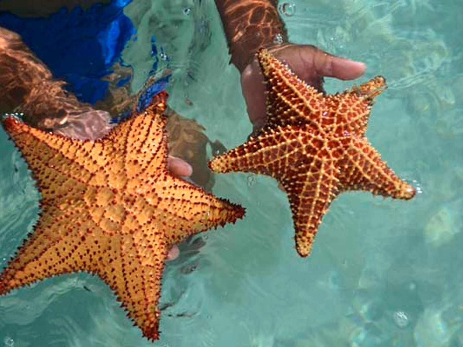 Saona Island Group Excursion